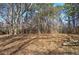 Wooded backyard providing seclusion and a natural setting at 857 Garner Rd, Rockmart, GA 30153