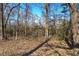 Wooded area behind the property with tall trees at 857 Garner Rd, Rockmart, GA 30153