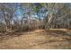 Wooded area behind the property with tall trees at 857 Garner Rd, Rockmart, GA 30153