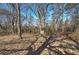 Wooded area behind the property with tall trees at 857 Garner Rd, Rockmart, GA 30153