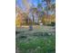 Spacious backyard with mature trees and shed at 6050 Ledgewood Dr, Forest Park, GA 30297