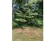 Photo of a luscious green backyard featuring a variety of trees at 2080 Winding Crossing Trl, Fairburn, GA 30213