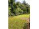 Expansive backyard featuring a lush lawn, mature trees, and landscape elements at 2080 Winding Crossing Trl, Fairburn, GA 30213