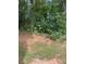 View of the wooded backyard landscaping providing privacy and a natural setting at 2080 Winding Crossing Trl, Fairburn, GA 30213