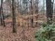 Wooded area behind house with leaf covered ground at 3025 Park Chase Dr, Alpharetta, GA 30022