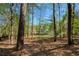 View of the backyard and house through the trees, showing the landscaping and natural setting at 701 Vinings Estates Se Dr, Smyrna, GA 30126