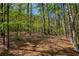 Tranquil wooded area surrounding the property providing privacy and natural beauty at 701 Vinings Estates Se Dr, Smyrna, GA 30126