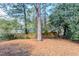 Fenced backyard with mature trees and pine straw at 6179 Dana Ct, Lithonia, GA 30058