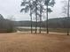 Serene lake view with grassy area and trees at 210 Omega Ct, Dallas, GA 30157