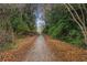 Tree-covered walking path leading into a wooded area, covered in leaves, perfect for nature walks and relaxation at 560 Dutch Valley Ne Rd # 209, Atlanta, GA 30324