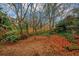 Secluded backyard featuring mature trees, lush greenery, and fallen leaves at 2458 Haverford Way, Decatur, GA 30032