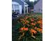 Beautifully landscaped yard featuring a vibrant mix of flowers and greenery, enhancing the home's exterior appeal at 2425 Park Ave, Austell, GA 30106