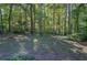 Spacious backyard with wooded area and open space at 3460 Meadowview Dr, Lithia Springs, GA 30122