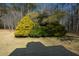 Landscaped backyard with lush greenery at 125 Lamberth Lake Dr, Fayetteville, GA 30215