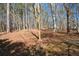 Wooded area with leaf covered ground at 125 Lamberth Lake Dr, Fayetteville, GA 30215