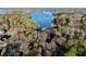 Stunning aerial view of a lakefront property with lush trees and pristine waters, perfect for nature lovers at 3970 Bridgeman Cir, Cumming, GA 30041