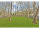 Backyard with lush green grass, mature trees, and a wood privacy fence providing a serene outdoor space at 812 Stratford Rd, Avondale Estates, GA 30002