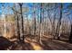 Wooded backyard with mature trees at 8245 Mill Run Trl, Whitesburg, GA 30185