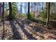 Wooded backyard with leaf-covered ground at 1080 Willow Bnd, Roswell, GA 30075