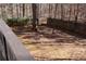 Wooded backyard with a wooden fence and some patchy grass at 205 Hardman Way, Woodstock, GA 30188