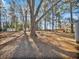 Large backyard with mature trees and a shed at 1048 Plainview Dr, Marietta, GA 30066