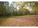 Open backyard with leaf covered grass and trees at 105 Tranquillity Dr, Villa Rica, GA 30180