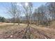 Large backyard with mature trees at 119 E Johnson E St, Temple, GA 30179