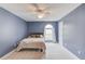 Bedroom showcasing a ceiling fan and window, set against blue walls and neutral carpet at 1692 Branch Creek Cv, Lawrenceville, GA 30043