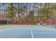 A view of the community tennis courts with nets and lights at 1692 Branch Creek Cv, Lawrenceville, GA 30043