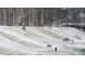 People sledding down a snow covered hill at 9385 N Lake Dr, Roswell, GA 30076