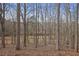 View of a wooded lot featuring mature trees and natural growth in the back of the home at 366 Greycoat Sw Blf, Marietta, GA 30064