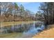 Serene lake view with tree-lined shoreline at 1263 Irwin Lake Way, Marietta, GA 30064