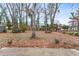 Spacious backyard with mature trees and plenty of space at 1730 Carla Dr, Morrow, GA 30260