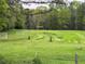 Expansive backyard featuring a lush green lawn, mature trees and a soccer goal, perfect for outdoor activities at 10975 Hutcheson Ferry Rd, Chattahoochee Hills, GA 30268