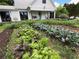 Charming home featuring a vibrant vegetable garden with lush greens and herbs growing in front of the house at 10975 Hutcheson Ferry Rd, Chattahoochee Hills, GA 30268