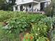 Exterior view of a lush garden filled with rows of vegetable plants and flowers near a white home with inviting front porch at 10975 Hutcheson Ferry Rd, Chattahoochee Hills, GA 30268