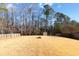 Expansive backyard with shed and fire pit area at 952 Sweetwater Bridge Cir, Douglasville, GA 30134