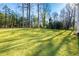 Spacious backyard with a large, grassy area at 1731 N Springs Dr, Dunwoody, GA 30338