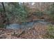 Natural stream flows through the backyard at 555 Winder Trl, Canton, GA 30114