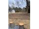 A charming backyard with natural wood stumps surrounded by trees and a cozy home at 1938 Highway 212 Sw, Conyers, GA 30094
