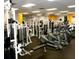 Fitness center with a variety of cardio and weight training equipment at 200 Holly Chase Ct, Canton, GA 30114