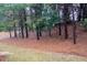 Tree lined backyard with trees and mulched ground at 4116 Mars Bay # 27, Acworth, GA 30101