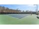 Well-maintained tennis courts providing ample space for recreational play and competitive matches at 702 Berkeley Ter, Canton, GA 30115