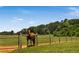 Horse in a lush green pasture with a wooden fence at 379 Reynolds Bridge Road, Kingston, GA 30145