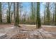 Wooded backyard with a partially snow-covered ground at 2026 Morris Dr, Riverdale, GA 30296