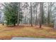 View of a tree-filled backyard with a light covering of grass and some leaves at 2405 County Line Sw Rd, Atlanta, GA 30331