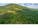 Mountaintop woodland with lush green canopy at 1401 Walcutts Nw Way, Marietta, GA 30064