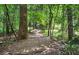 Dirt trail through dense forest with lush trees at 1401 Walcutts Nw Way, Marietta, GA 30064