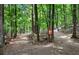 Trail intersection in woods with trail marker at 1401 Walcutts Nw Way, Marietta, GA 30064
