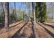 Wooded backyard with plenty of privacy and a woodpile at 159 Geneva Rd, Canton, GA 30114